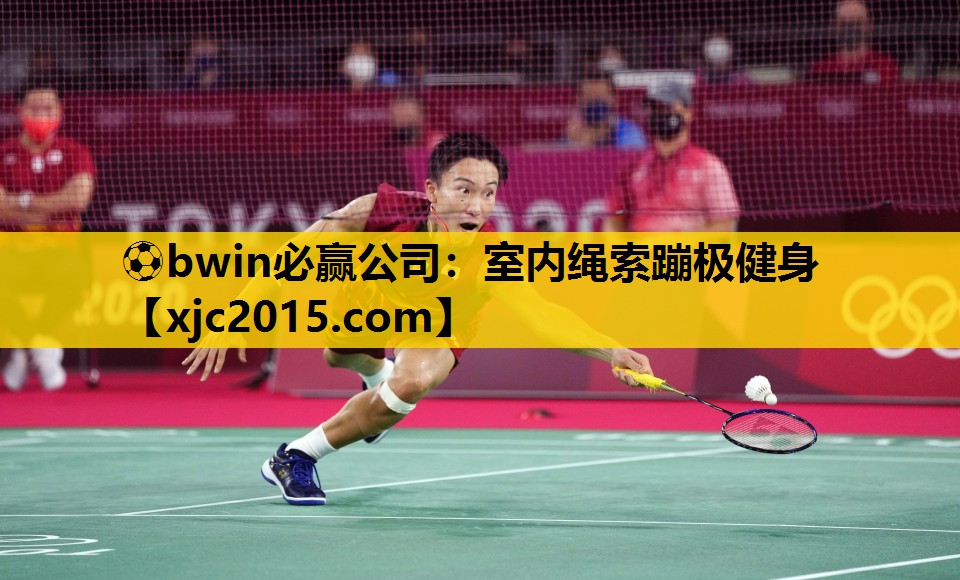 ⚽bwin必赢公司：室内绳索蹦极健身