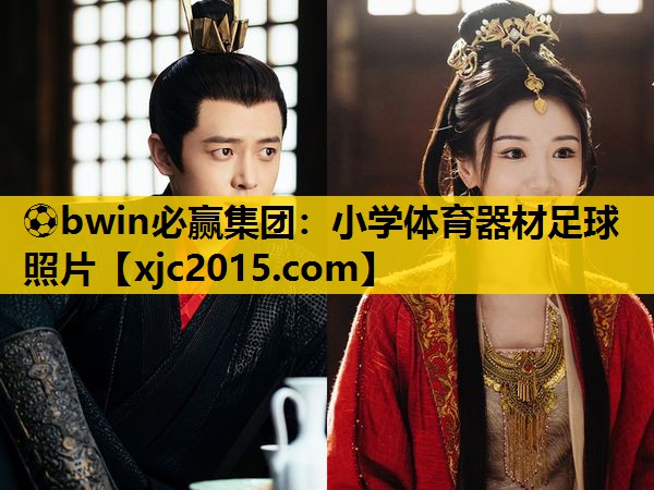 ⚽bwin必赢集团：小学体育器材足球照片